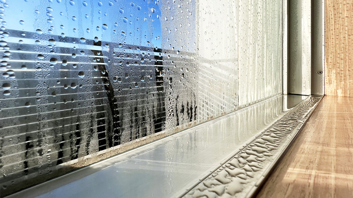 窓が結露している様子