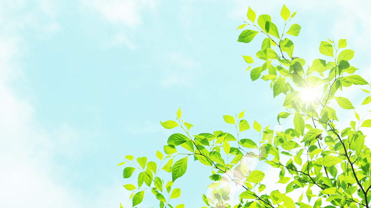 自然環境のイメージ